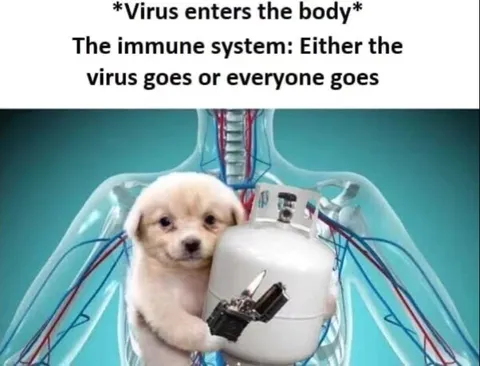 Immune System Chooses Violence