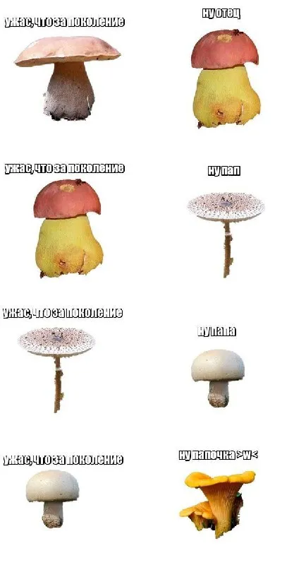 Ужас, что за поколение грибов