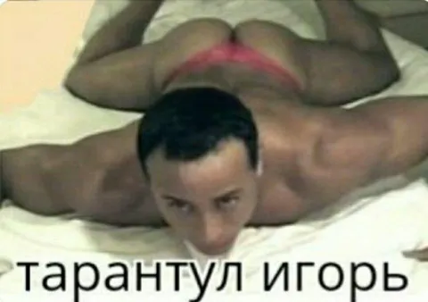 Тарантул Игорь на кровати