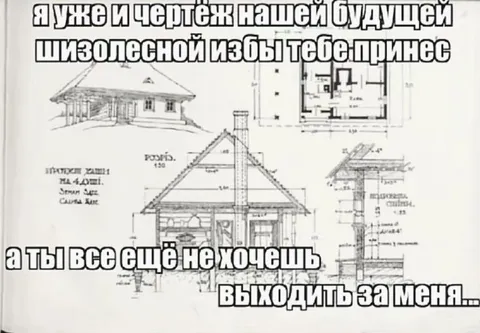 Чертёж будущей шизодесной избы