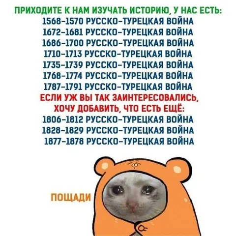 Русско-турецкие войны без конца