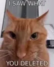 Cat Saw What You Deleted