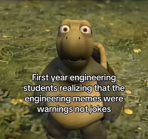 Engineering Memes Were Warnings