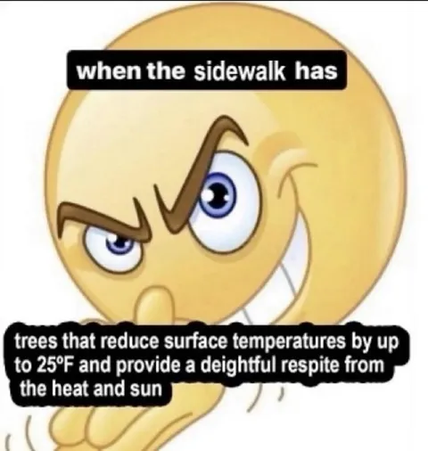 When the Sidewalk Has Trees