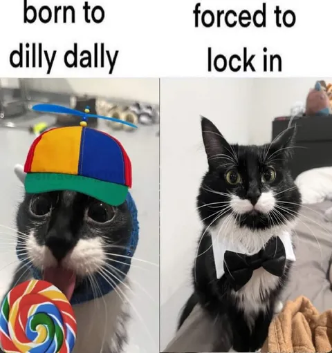 Born to Dilly Dally, Forced to Lock In