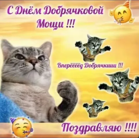 День добрячковой мощи
