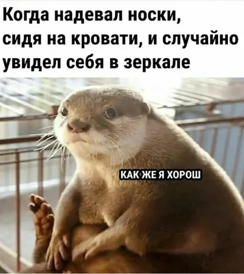Когда увидел себя в зеркале