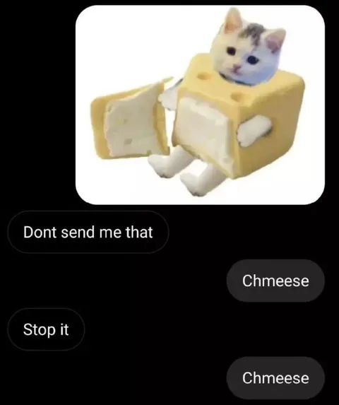 Chmeese Cat Spam