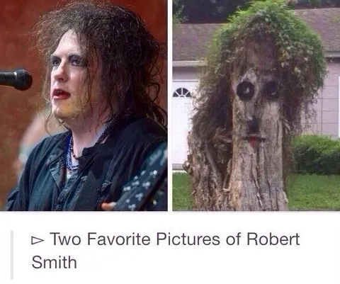 Two Favorite Pictures of Robert Smith