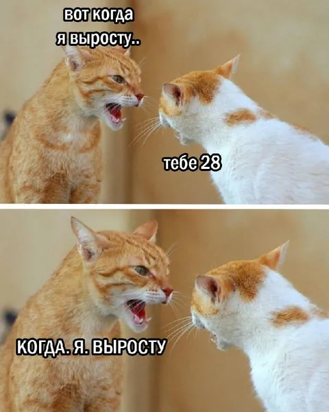 Когда я выросту тебе 28