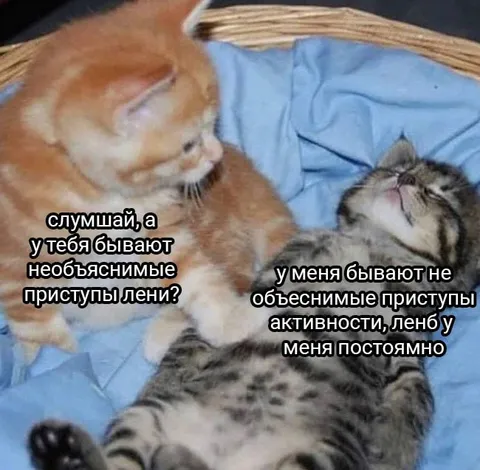 Приступы лени и активности