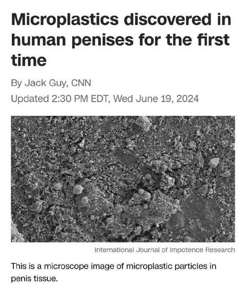 Microplastics in Human Penises