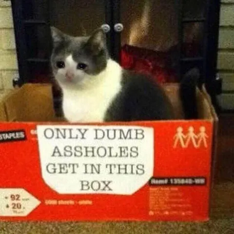 Only Dumb Assholes Box
