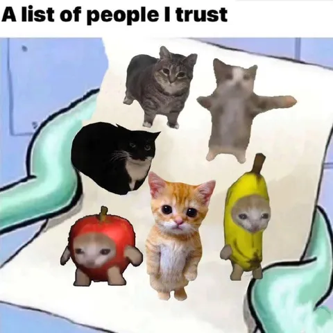 A List of People I Trust Cats