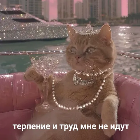 Кот выбирает роскошную жизнь