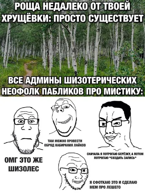 Роща у хрущёвки и шизолес