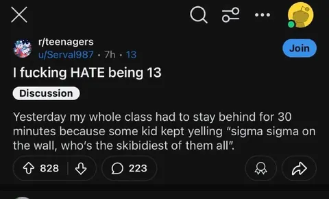 I Fucking Hate Being 13
