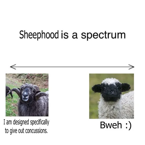 Sheephood Is a Spectrum