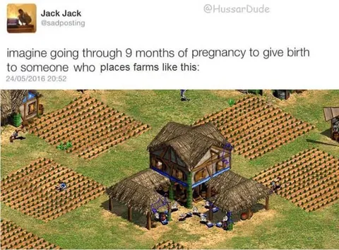 Nine Months for This Farm Layout