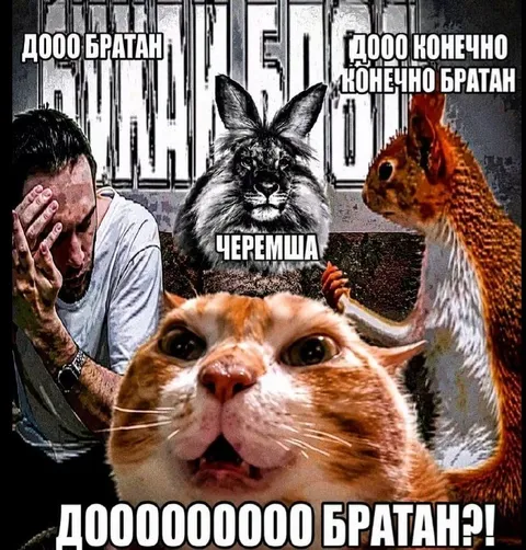 Черемша для братанчиков