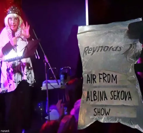 Air Fryer Albina Sexova Show