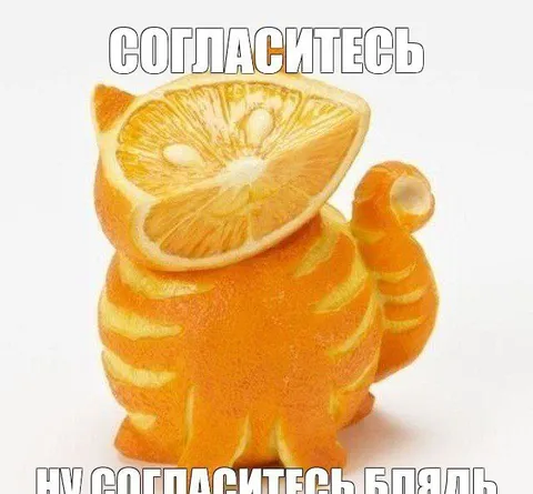 Согласитесь, блядь