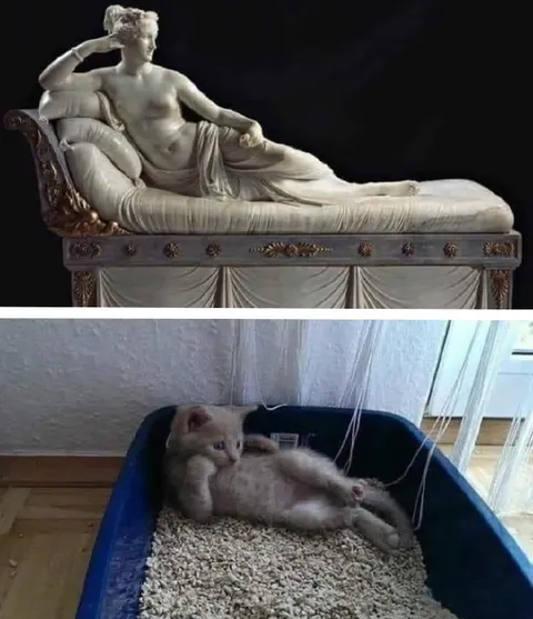 Кот в позе античной статуи
