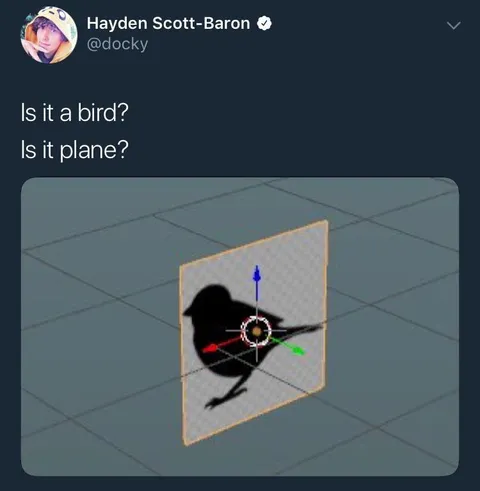 Is It a Bird or a Plane?