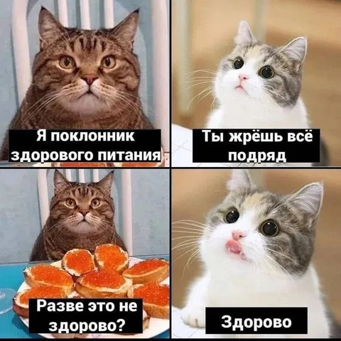 Поклонник здорового питания