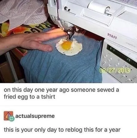 Sewed Fried Egg Anniversary