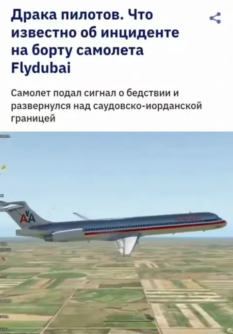 Драка пилотов на борту самолета