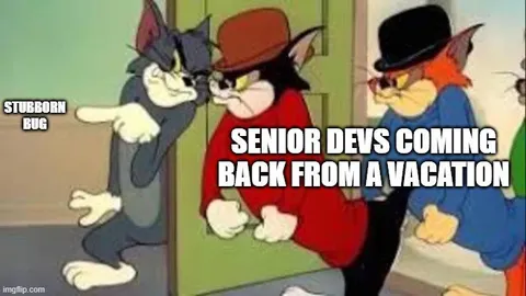 Senior Devs Return From Vacation