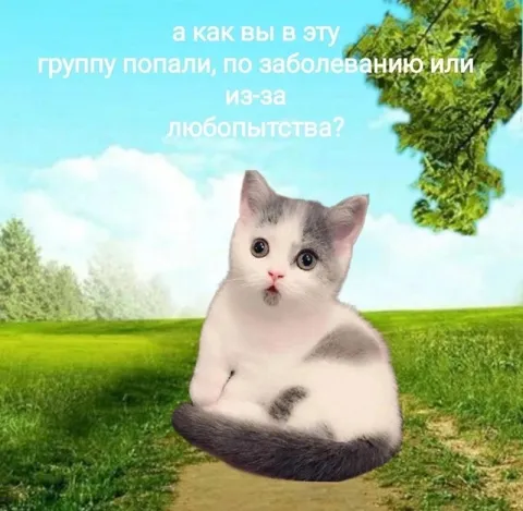 Как вы попали в эту группу