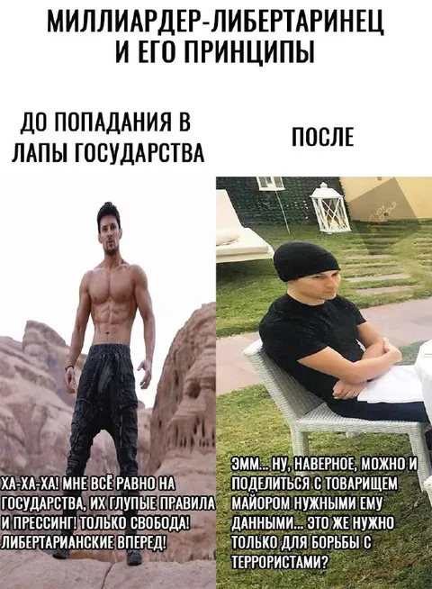 Миллиардер-либертарианец и его принципы