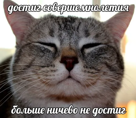 Совершеннолетие — единственное достижение