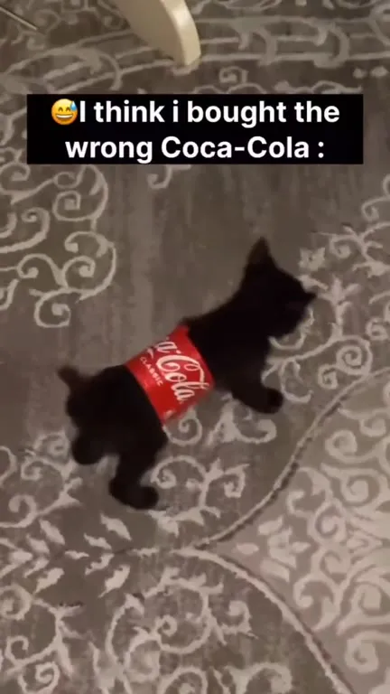 Wrong Coca-Cola Cat
