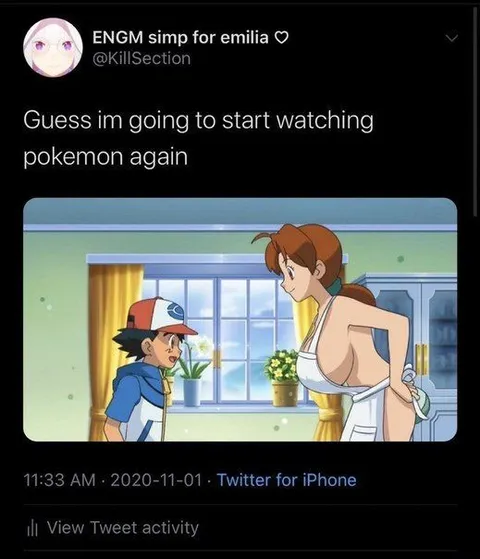 Starting Pokémon Again