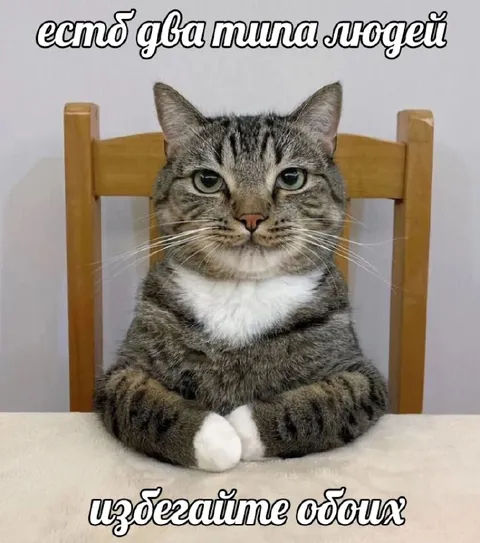 Есть два типа людей