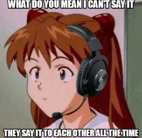 What Do You Mean I Can't Say It
