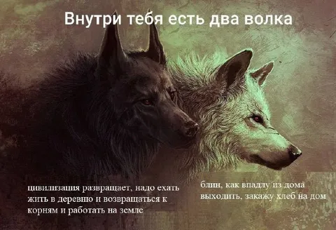 Внутри тебя два волка