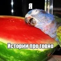 Истории про говно