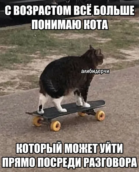 Кот уходит посреди разговора