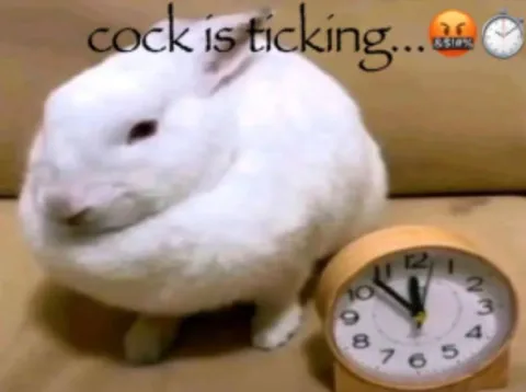 Cock Is Ticking