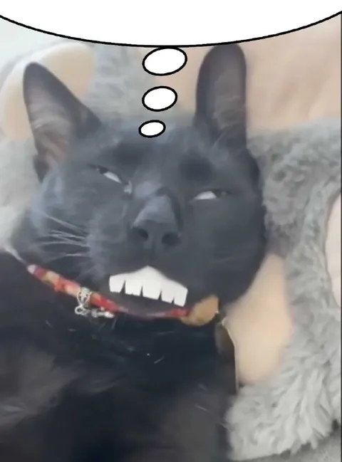 Кот с клыками думает