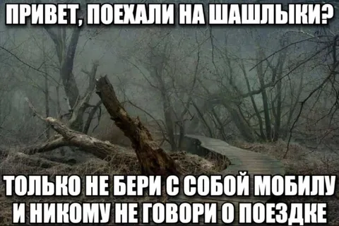 Поездка на шашлыки в лес