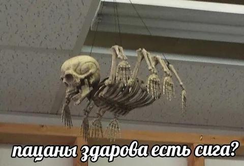 Скелет просит сигарету