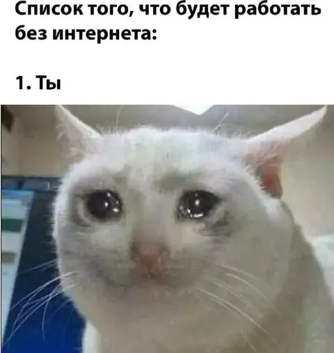 Ты работаешь без интернета