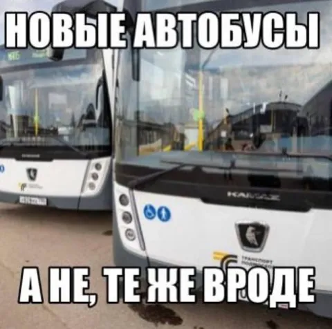 Новые автобусы, а не те же