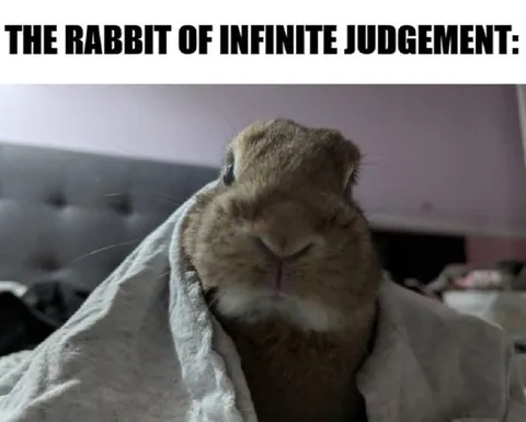 Rabbit of Infinite Judgement