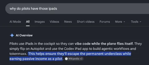 AI Overview invents pilot facts